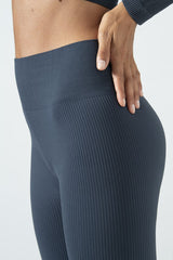 Seamless Microfiber Ribbed High-Waisted Sports Leggings, Sara Collection