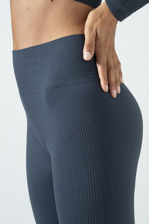 Seamless Microfiber Ribbed High-Waisted Sports Leggings, Sara Collection