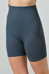 Seamless Microfiber Ribbed High Waisted Sports Shorts, Sara Line