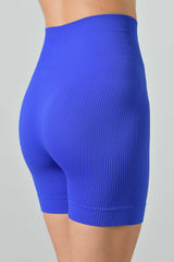 Seamless Microfiber Ribbed High Waisted Sports Shorts, Sara Line